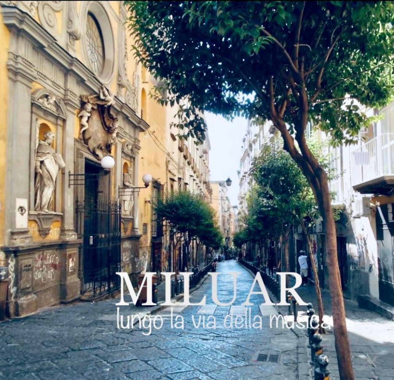Miluar - Centro Storico - Lungo La Via Della Musica Bed & Breakfast Naples Luaran gambar